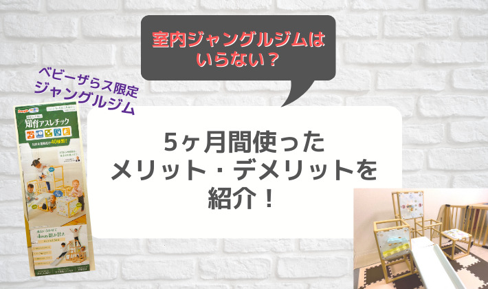 室内ジャングルジムはいらない？5か月使って感じたメリット・デメリットを紹介！